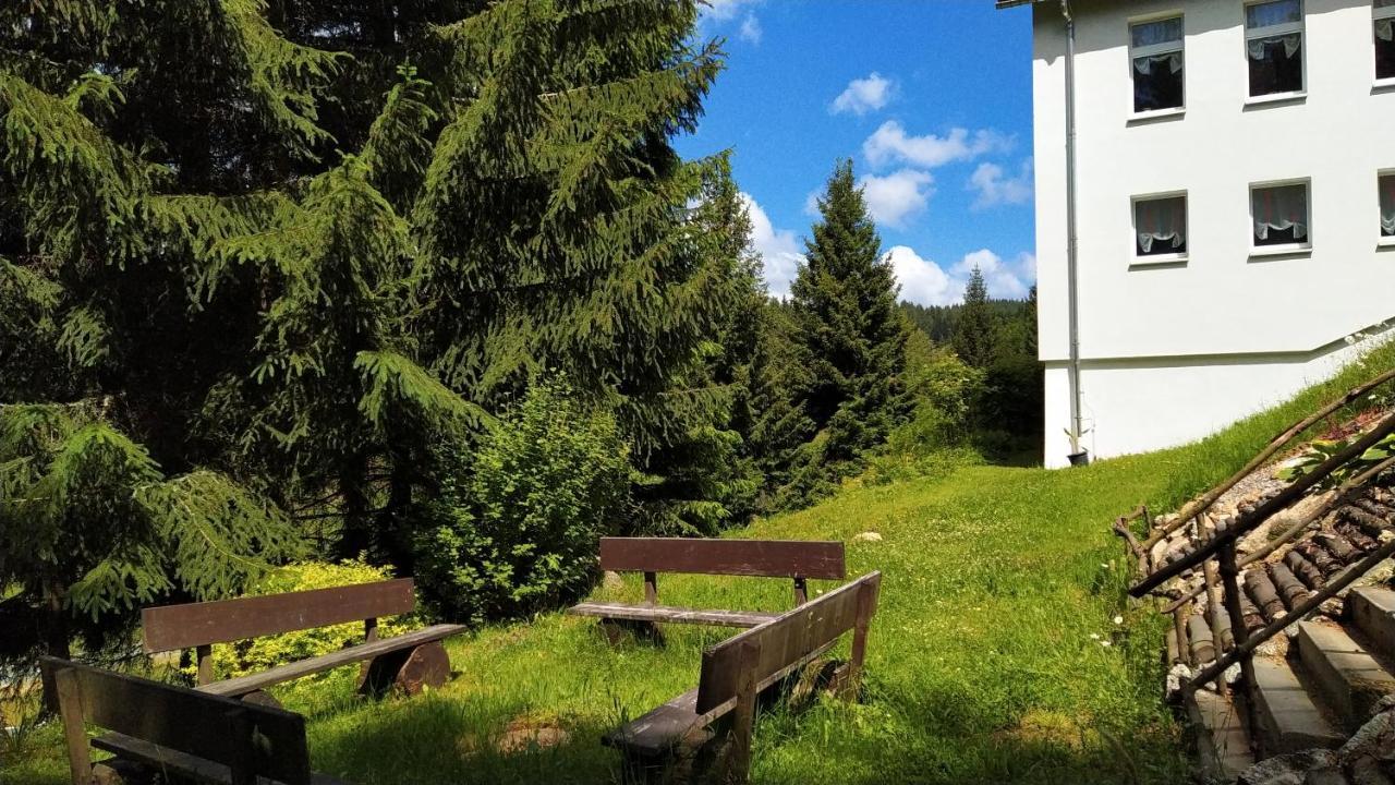 Greizer Kammhütte Gaststätte&Pension Klingenthal Exterior foto